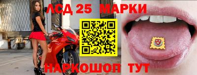 МДПВ Гусев
