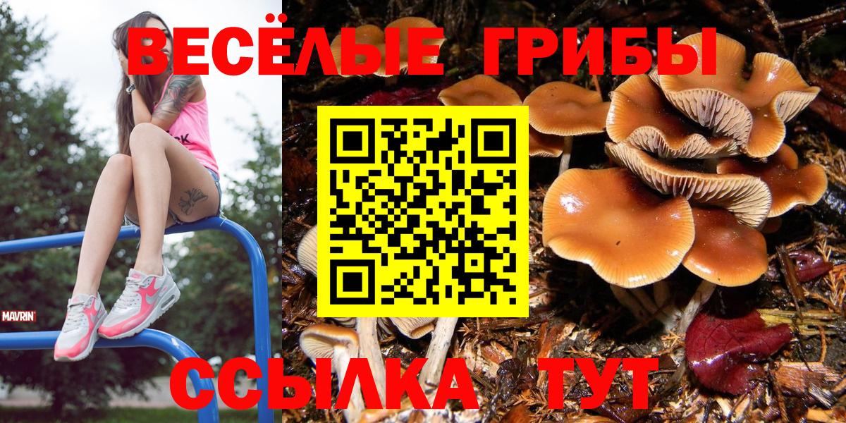 Минеральные Воды  Галлюциногенные грибы Cubensis  Вход с VPN  Псилоцибиновые грибы мухоморы 